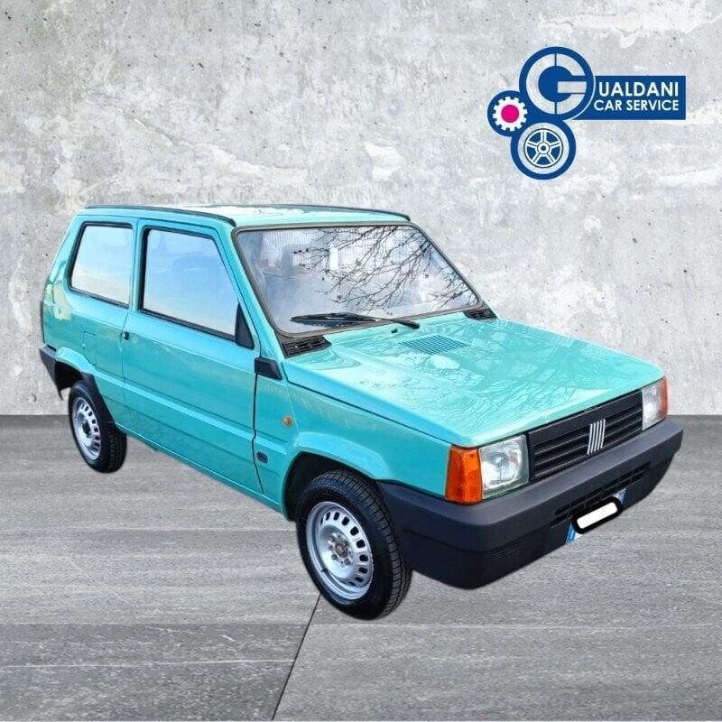 FIAT Panda 1100 i.e. cat Young