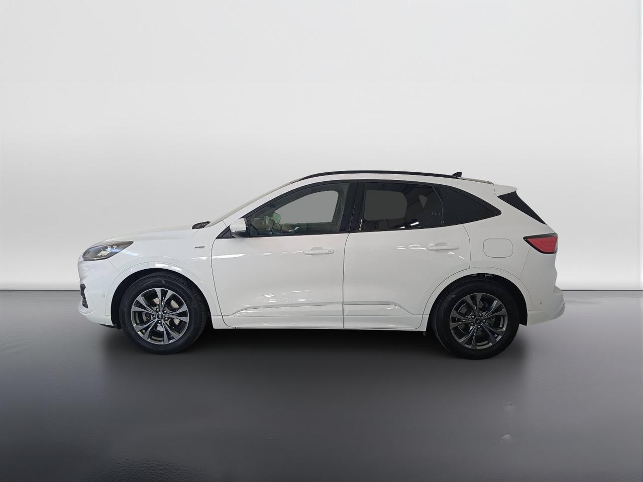 FORD Kuga III 2020 - Kuga 1.5 ecoblue ST-Line X 2wd 120cv