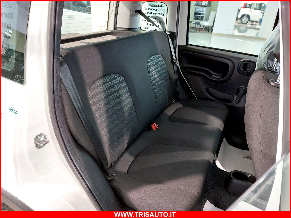 FIAT Panda 1.0 FireFly S&S Hybrid MY24 KM ZERO!!! IVATA NEOPATENTATI