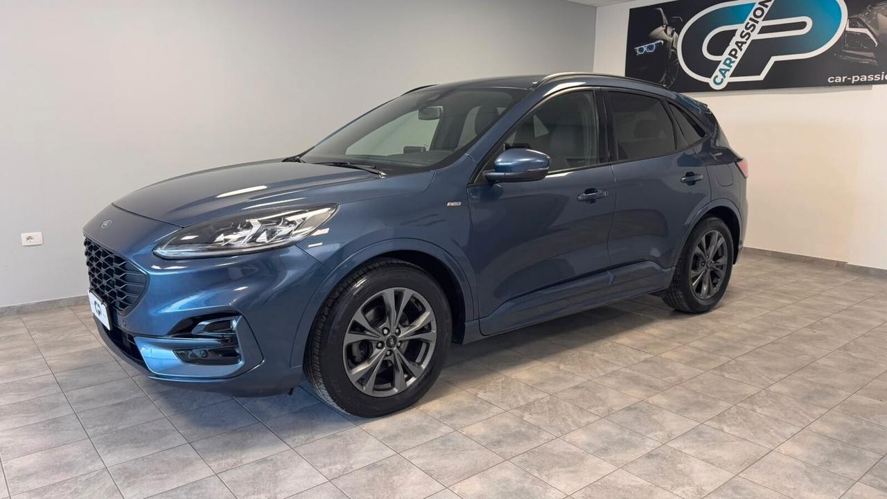 Ford Kuga 1.5 EcoBlue 120 CV aut. 2WD ST-Line X