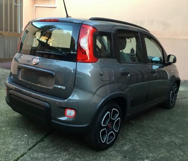 Fiat Panda 1.0 FireFly S&S Hybrid City Life 70 cv 6 marce