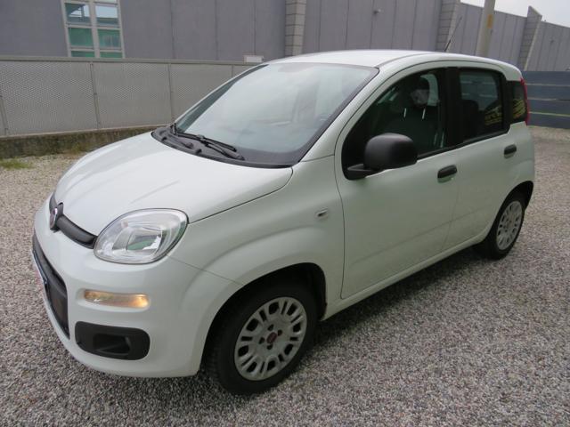 FIAT Panda 1.2 Easy S&S 1200 C.C.