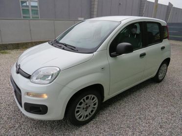 FIAT Panda 1.2 Easy S&S 1200 C.C.