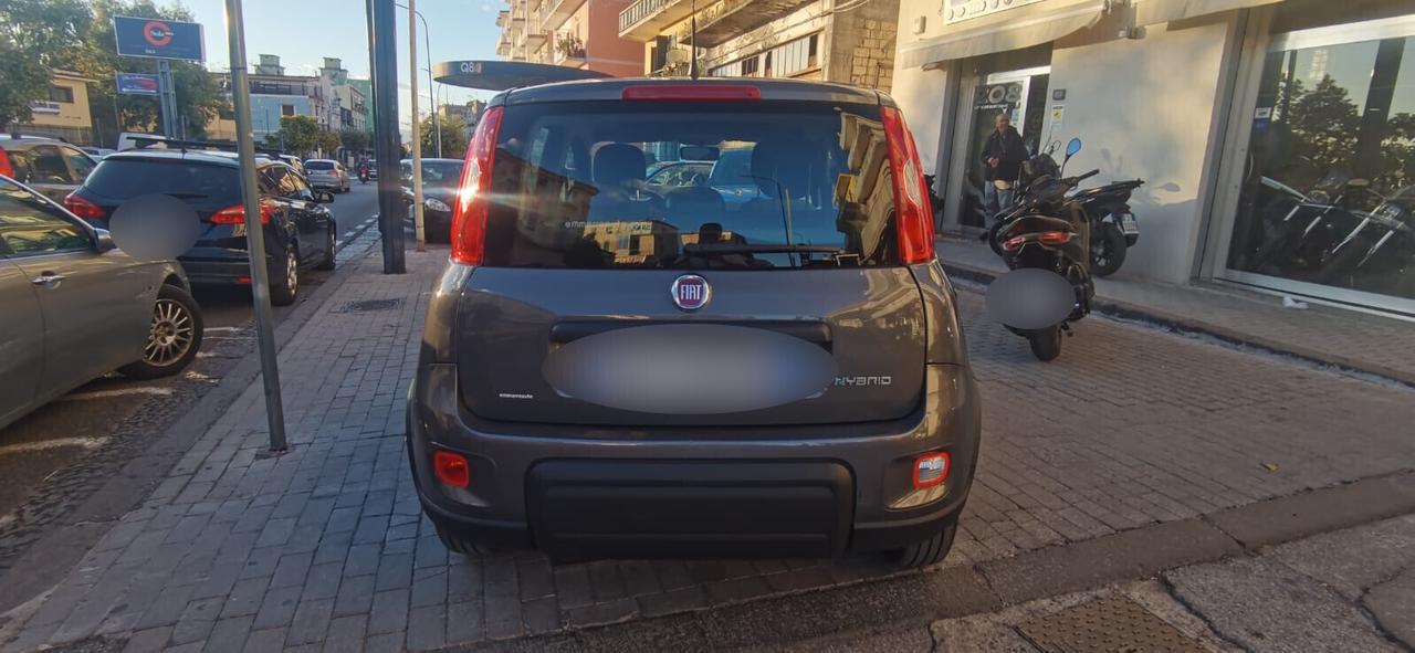 Fiat Panda 1.0 FireFly Hybrid City Life 2022 USATO