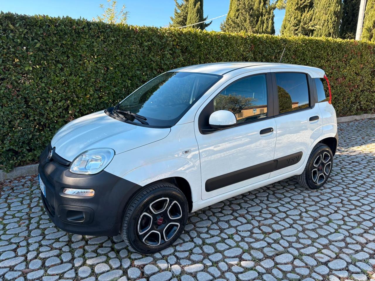 FIAT Panda 0.9Turbo S&S 4x4 Eld Pop Van N1 2P 2021