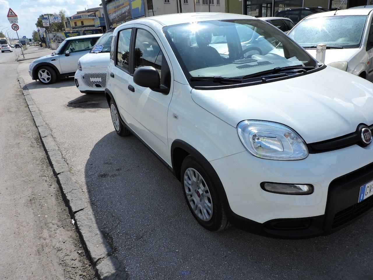 Fiat Panda 1.0 ibrida solo noleggio