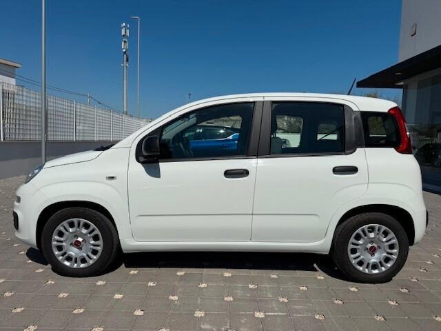 Fiat Panda 1.0 Hybrid Easy 2020
