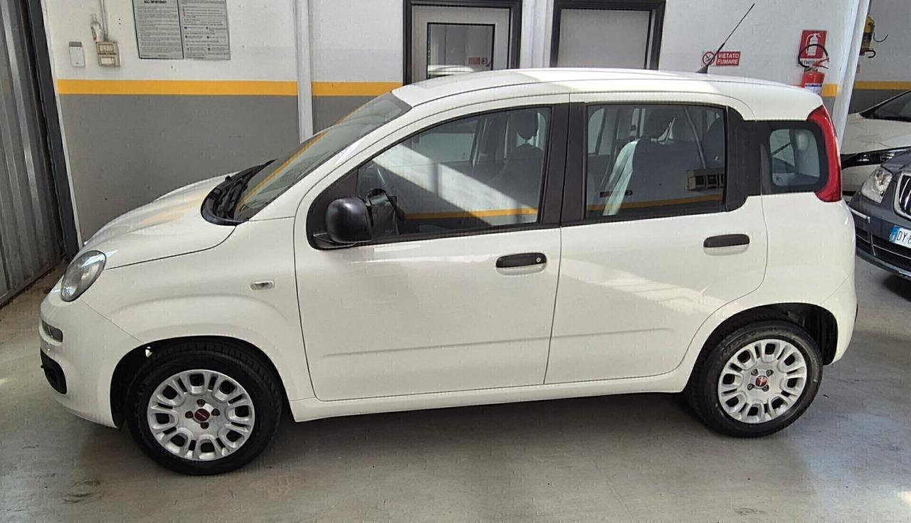 Fiat Panda 1.2 Easy 2019 Unico Proprietario