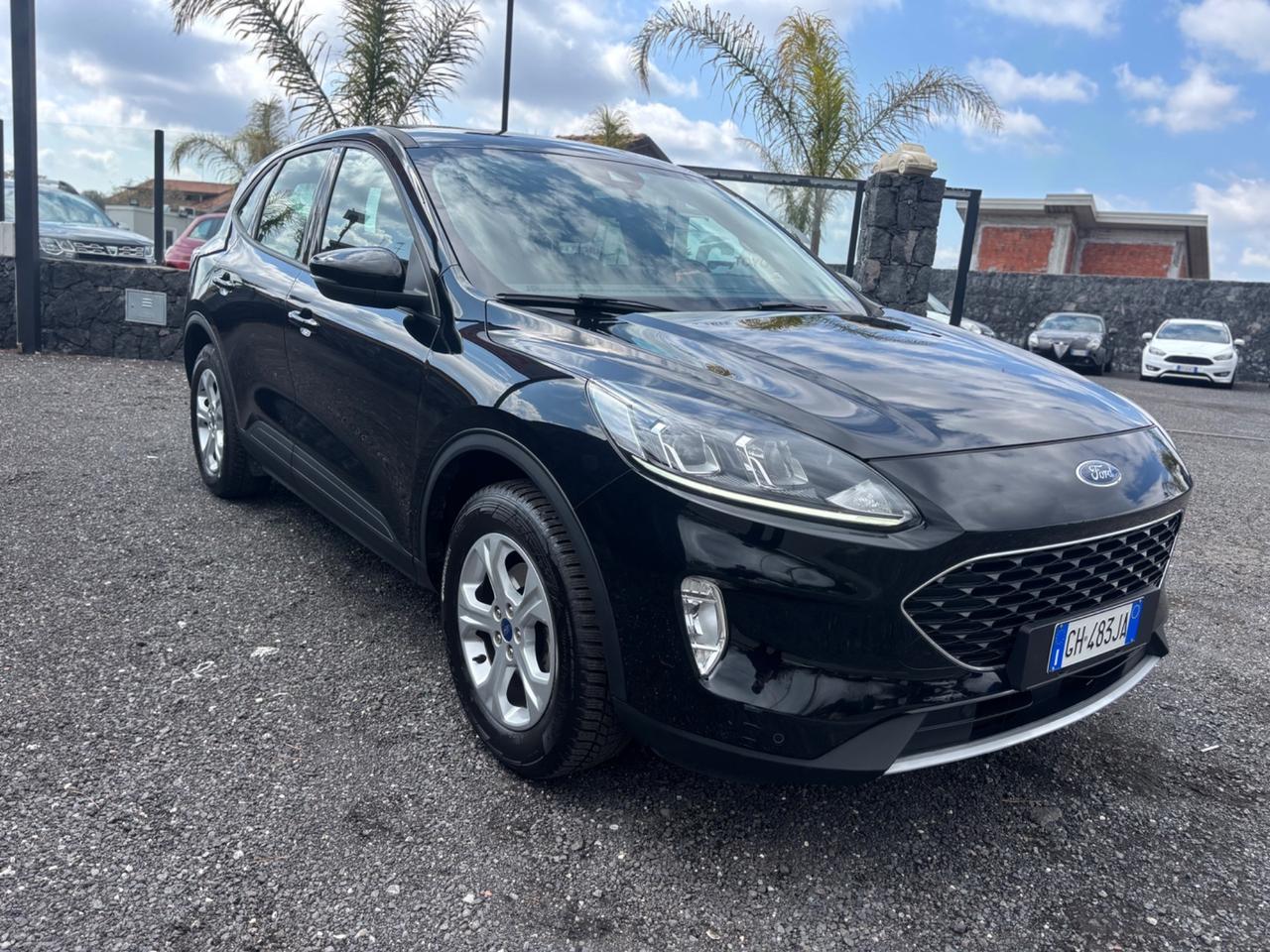 Ford Kuga 1.5 EcoBlue 120 CV 2WD Titanium