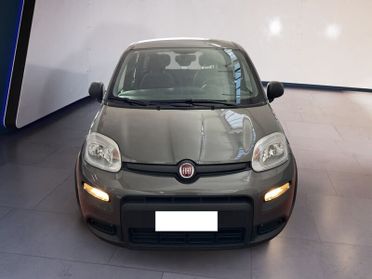 FIAT Panda III 2021 1.0 firefly hybrid s&s 70cv 5p.ti