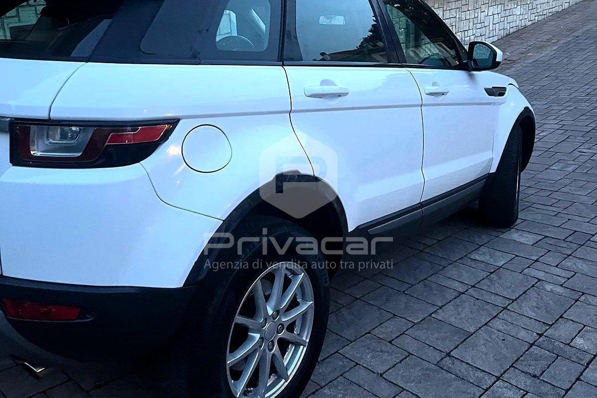 LAND ROVER Range Rover Evoque 2.0 TD4 150 CV 5p. Business Edition