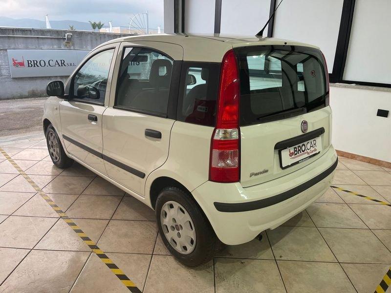 FIAT Panda Panda 1.2 69cv Classic