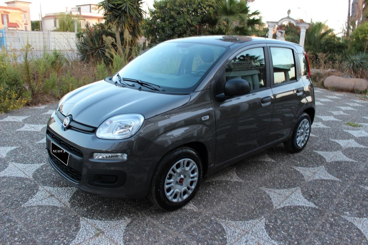 Fiat Panda 1.0 FIREFLY HYBRID CITY LIFE S UFFICIALE ITALIANA