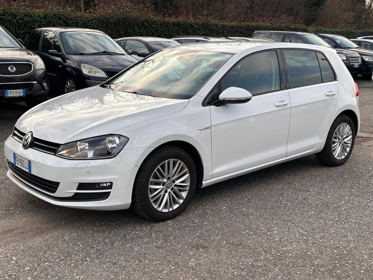 Volkswagen Golf versione CUP 1.6 TDI 110 CV 5p. Executive BlueMotion Technology*GOMME NUOVE*CINGHIA SOSTITUITA*NAVI*