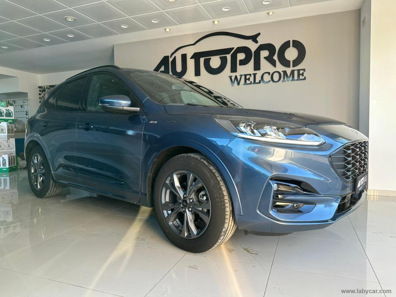 FORD Kuga 1.5 EcoBlue 120 CV 2WD ST-Line