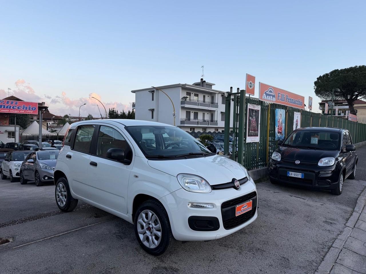 FIAT PANDA 900 METANO 84 (CV) 2016