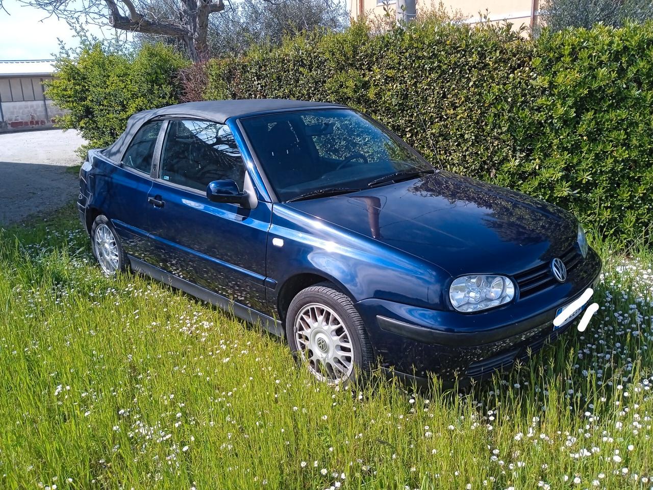 Volkswagen Golf Cabriolet 1.6 cat Highline ASI