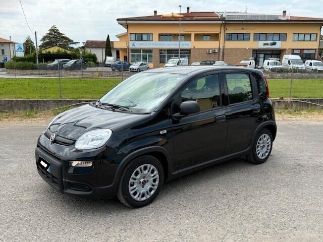 Fiat Panda 1.0 Hybrid neopatentati iva esposta