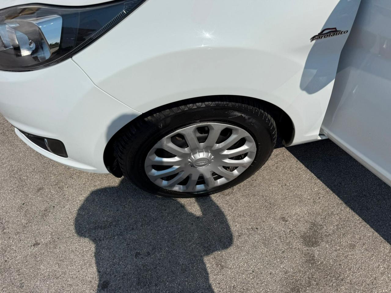 Ford Fiesta 1.5 TDCi 75cv Business - 2013