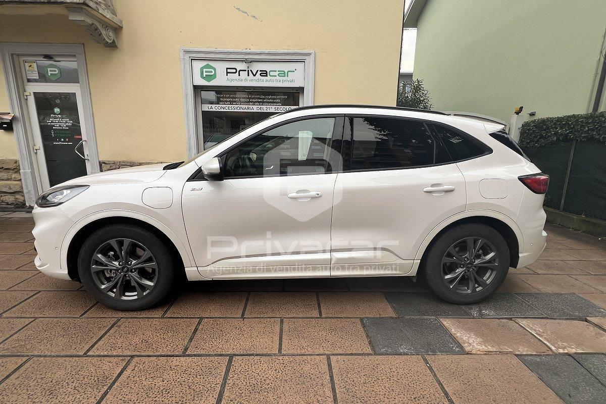 FORD Kuga 2.5 Plug In Hybrid 225 CV CVT 2WD ST-Line X