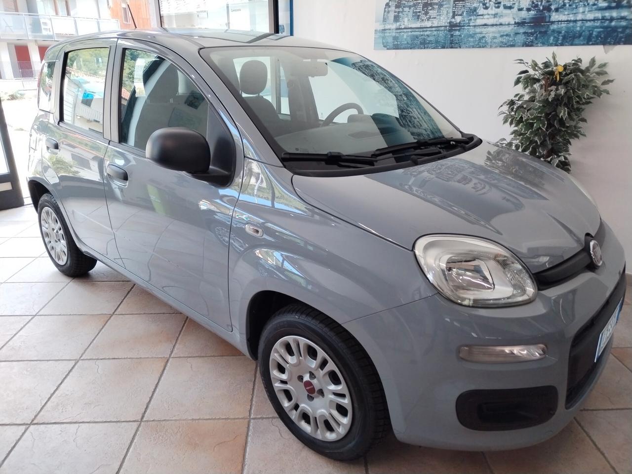Fiat Panda 1.2 Easy - 11/2020