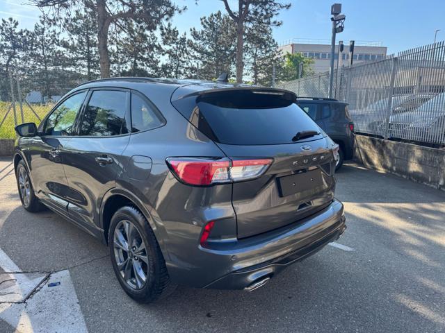FORD Kuga 2.0 EcoBlue 120 CV Aut. 2WD ST-Line