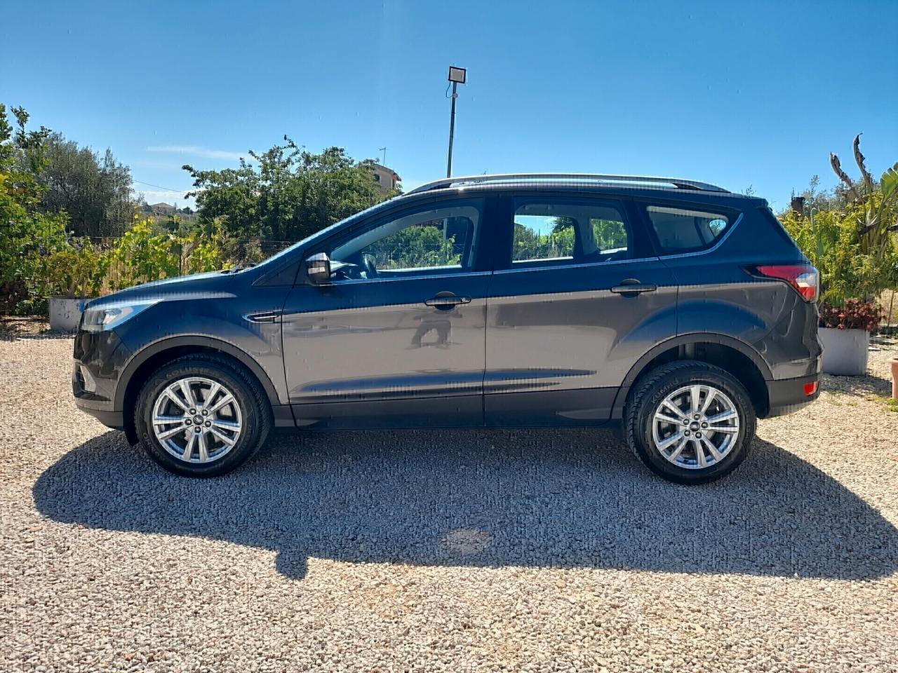 Ford Kuga 2.0 TDCI 150 CV S&S 4WD Powershift 2019