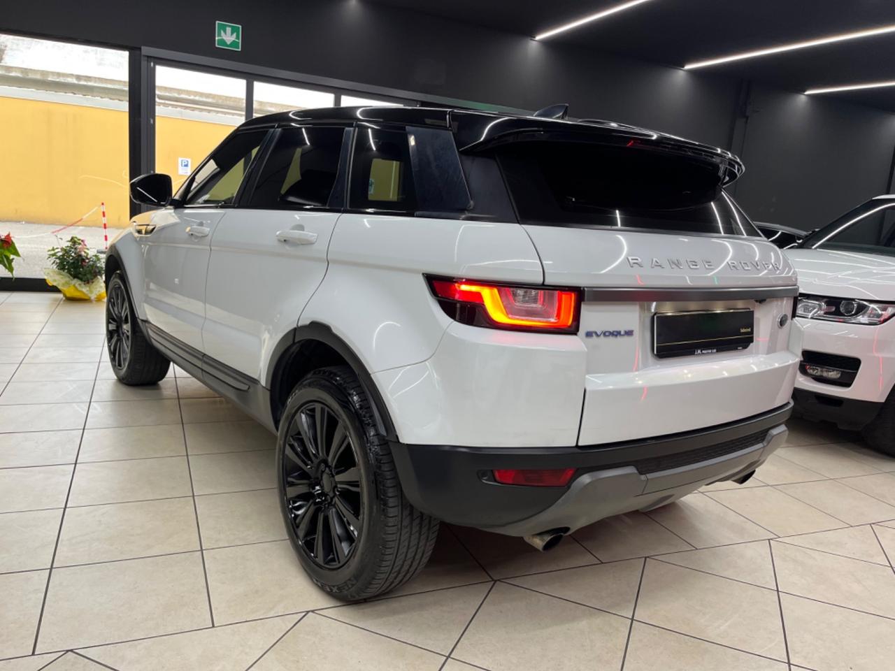 Land Rover Evoque 2.0 eD4 5p. SE 150CV 2017