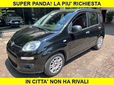 FIAT Panda 1.2 Benzina Neopatentati