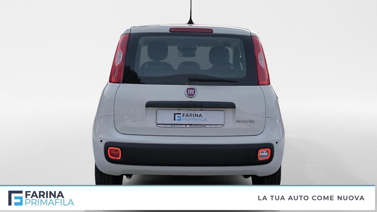 FIAT Panda III - Panda 1.0 firefly hybrid s&s 70cv 5p.ti