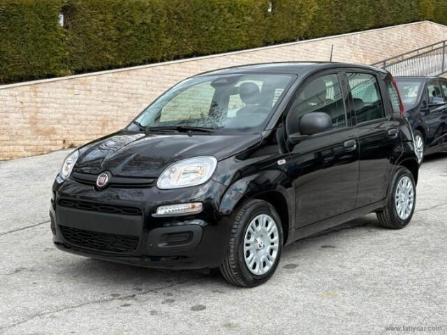 FIAT Panda 3ª serie Panda 1.0 FireFly S&S Hybr...