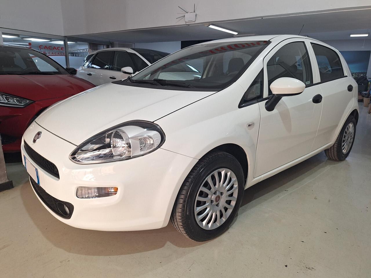 Fiat Punto 1.2 Km.56.000 1PROPRIETARIO 2016