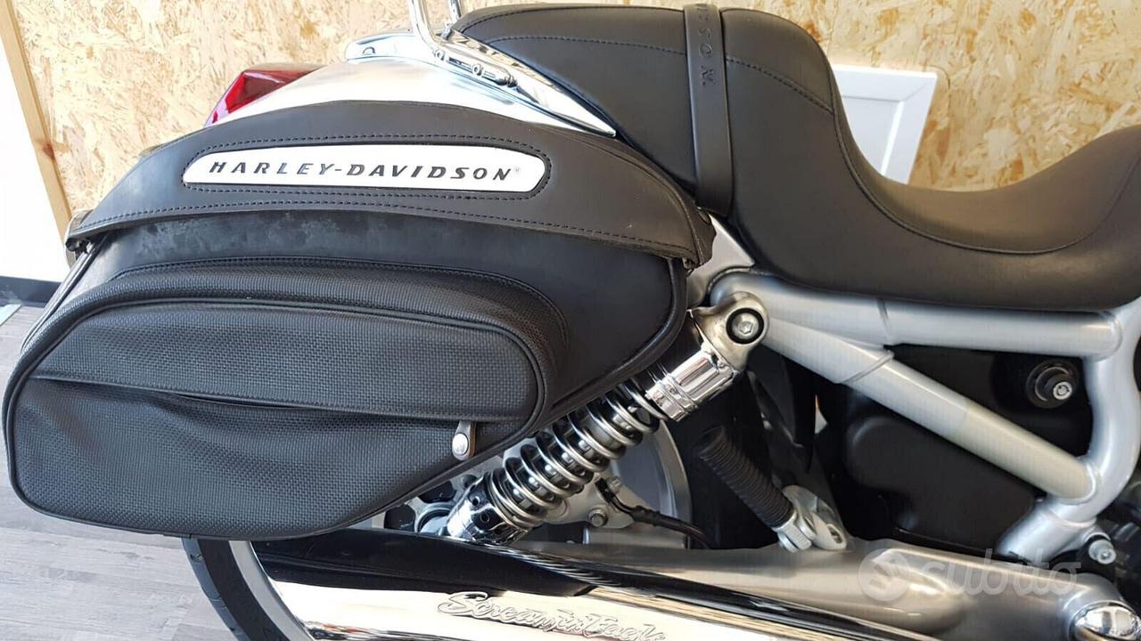 Harley-davidson V-Rod