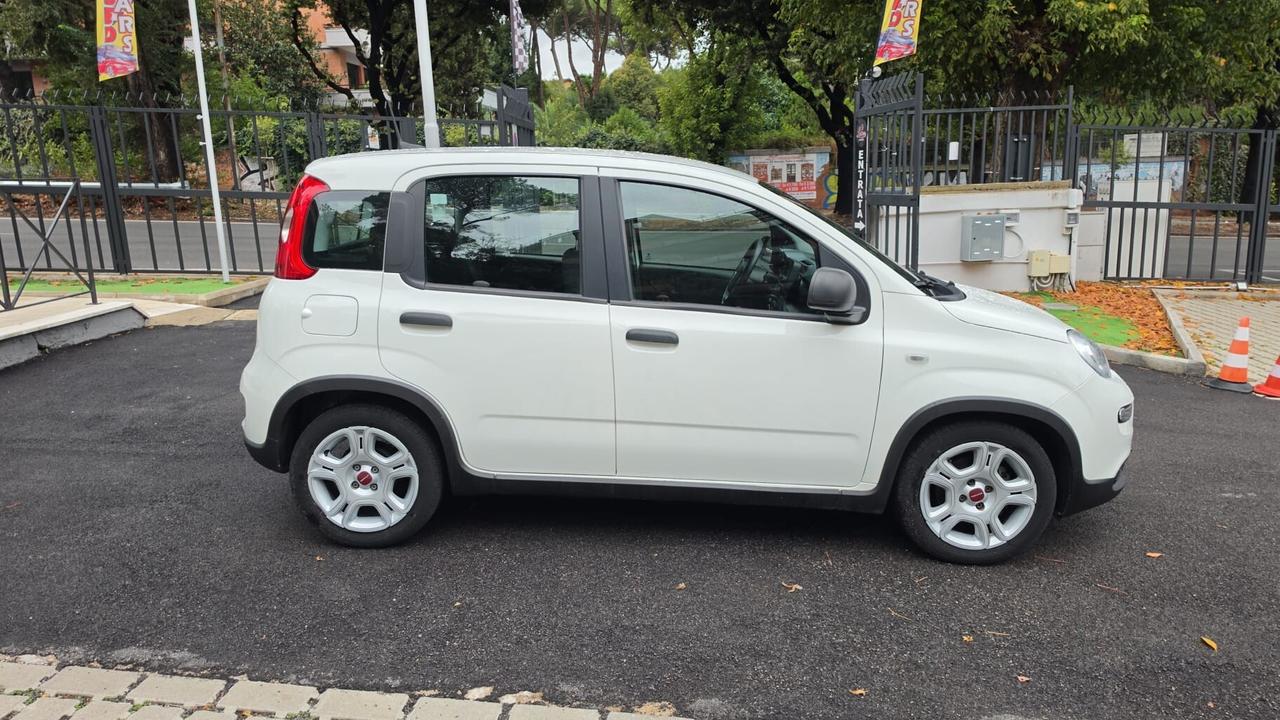 Fiat Panda 1.0 FireFly S&S Hybrid PREZZO IN OFFERTA PROMO FIN