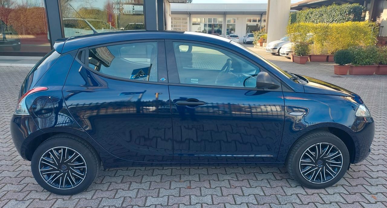 Lancia Ypsilon 1.2 69 CV 5 porte Elefantino Blu