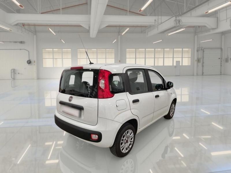 FIAT PANDA 1.2 69 CV SES E6D-TEMP EASY 5 PORTE BERLINA