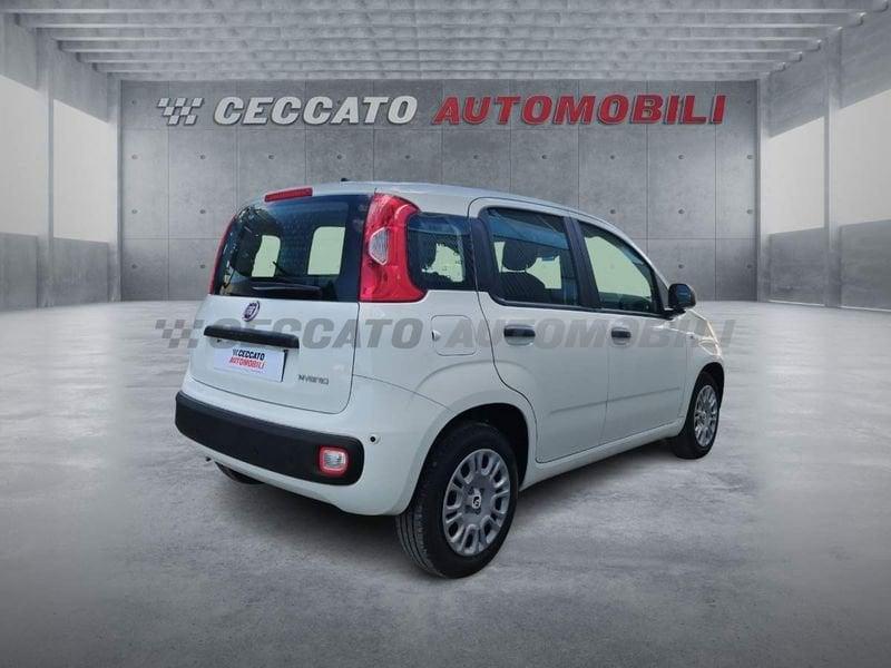 FIAT Panda Panda 1.0 70cv Hybrid Icon