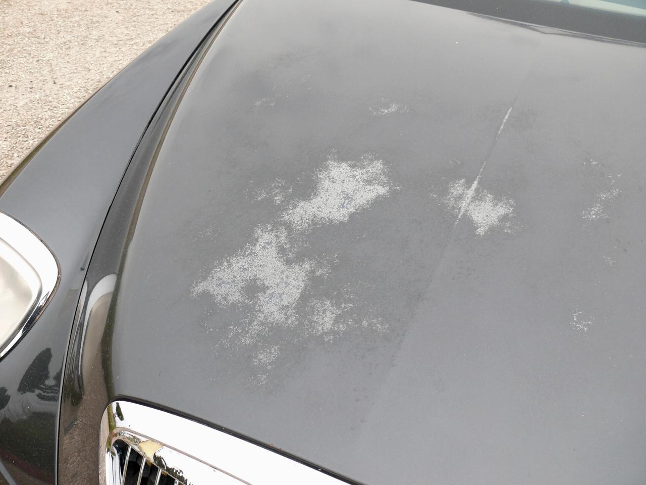 Lancia Thesis 2.4 JTD 20V aut. (M1328)