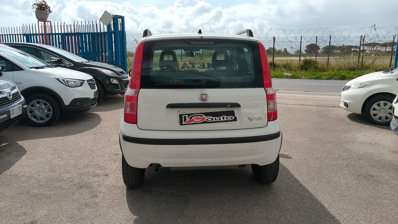 Fiat Panda 1.4 Natural Power neo patentati