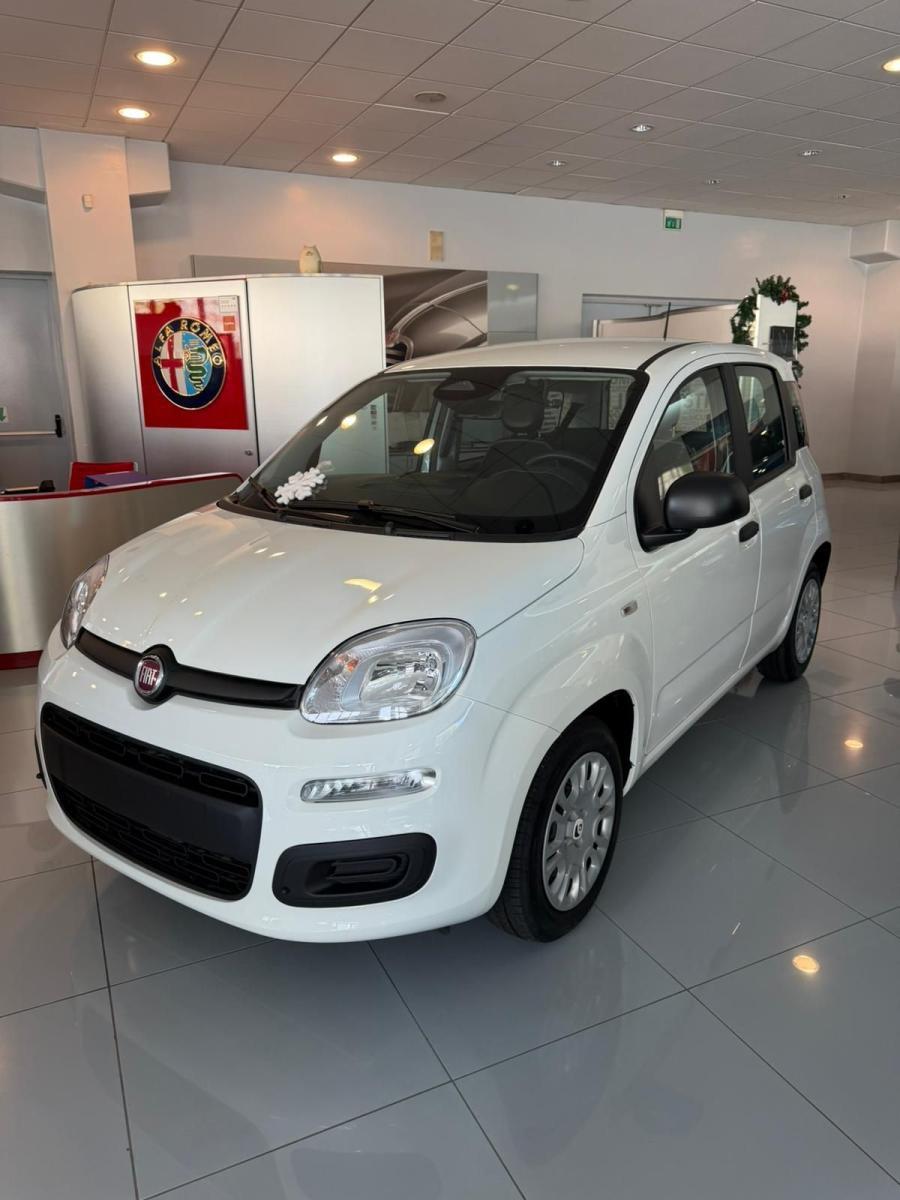 FIAT - Panda - 1.0 FireFly S&S Hybrid Pandina