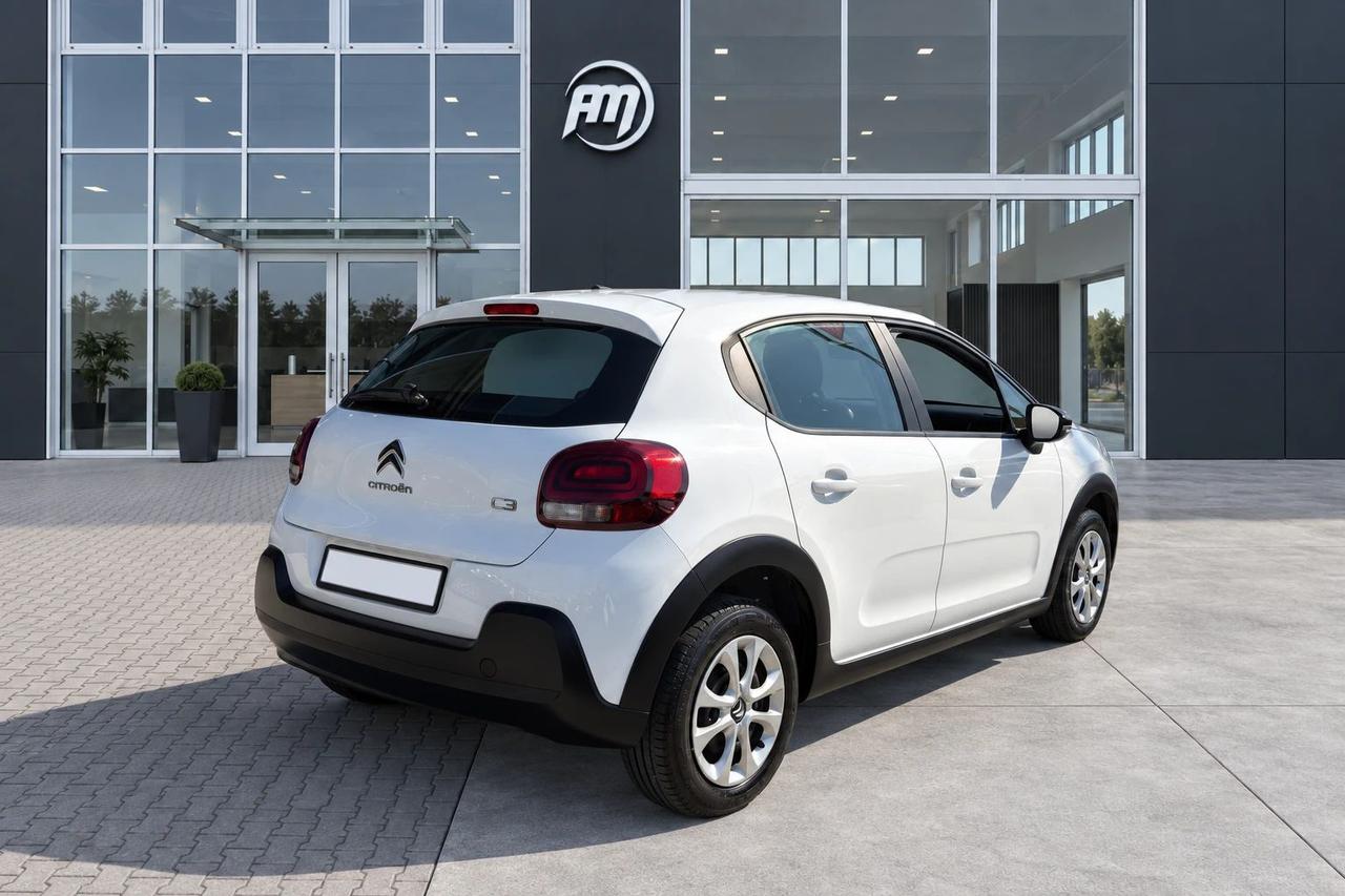 Citroen C3 1.5 100CV VAN 2 POSTI