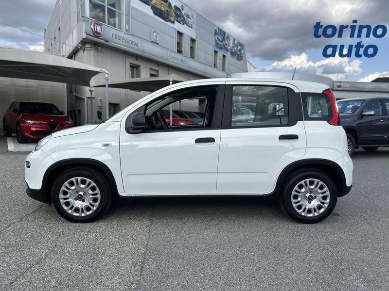FIAT Panda Panda 1.0 FireFly S&S Hybrid