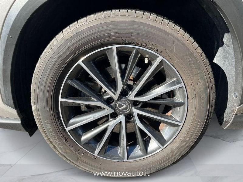 Lexus NX NX 350h 2.5 Business 4wd 244cv e-cvt