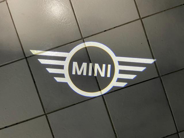 MINI Countryman D Classic Countryman CERCHI DA 19''.