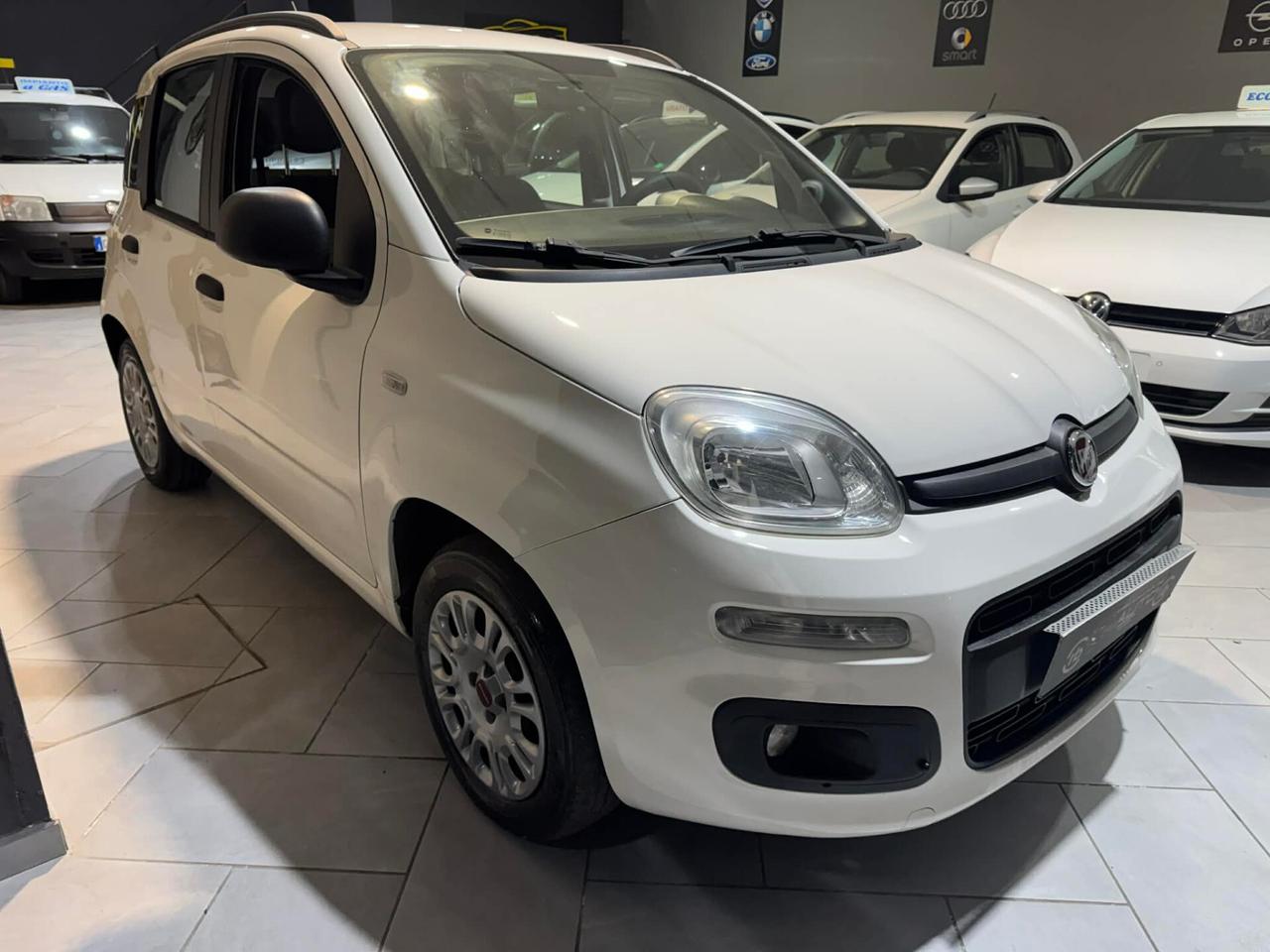 NEW Fiat Panda VARI MODELLI OCCASIONEE