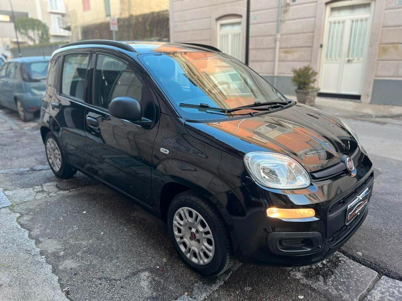 FIAT PANDA 1.2 EASYPOWER GPL LOUNGE 2019