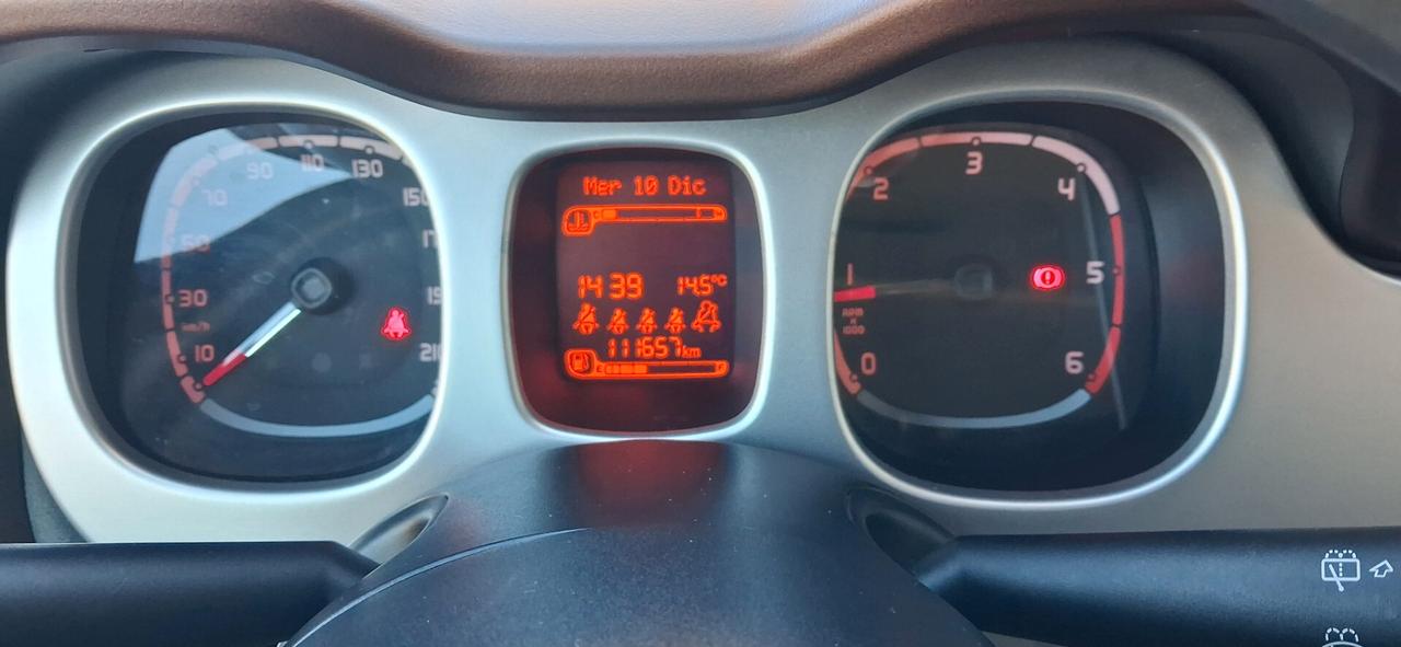 Fiat Panda 1.3 MJT 16V DPF 4x4 Climbing