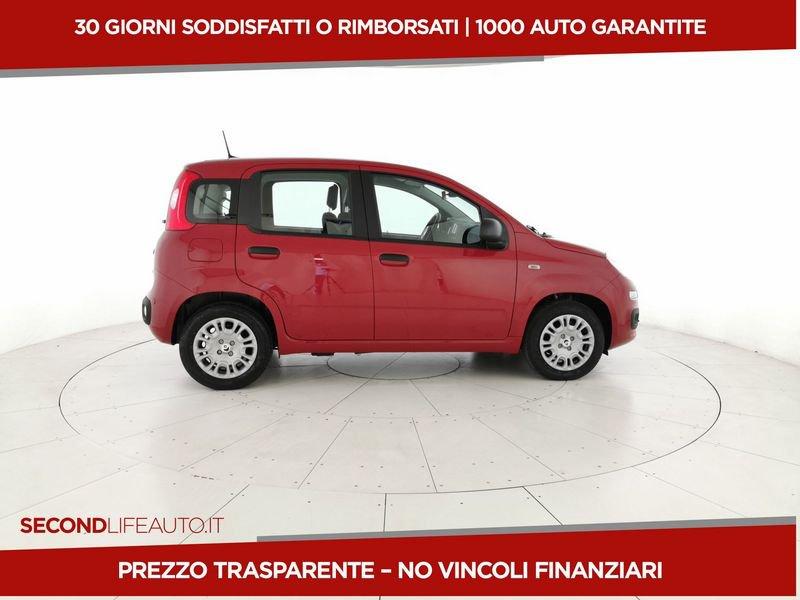 FIAT Pandina III 2024 Panda 1.0 firefly hybrid s&s 70cv 5p.ti