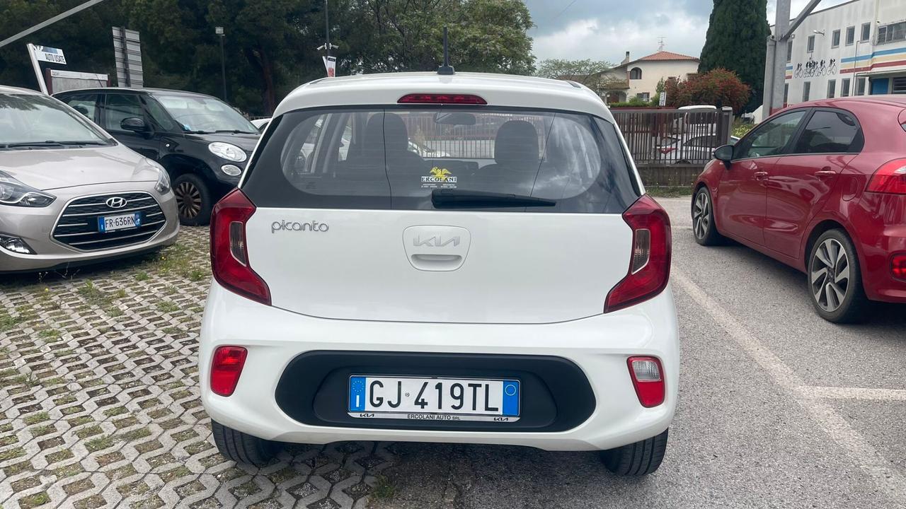 Kia Picanto 1.0 12V 5 porte Urban
