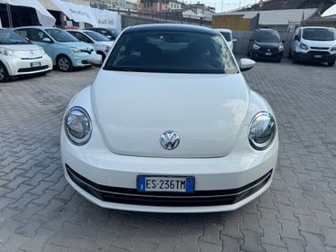 VW MAGGIOLINO 1.6 TDI 105 CV